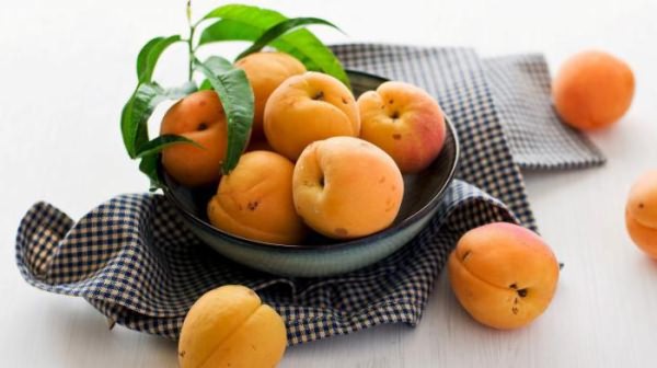 абрикос польза и вред для здоровья