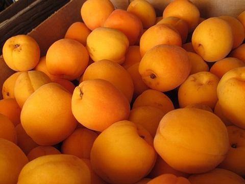 польза и вред абрикосов