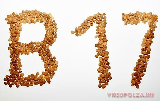 Ядра косточек спелых абрикосов содержит витамин B17, который помогает организму справиться с онкологией