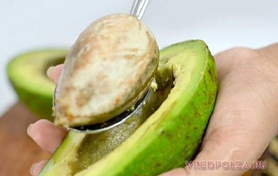 Косточка авокадо содержит большое количество танинов, которые в большом количестве могут спровоцировать отравление организма