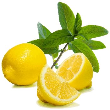 3720816_limon5 (350x350, 43Kb)