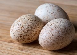 утиные яйца польза и вред