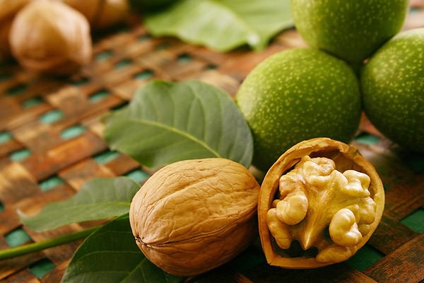 Орехи приносящие пользу организму