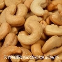Кешью – калорийность, чем полезны орехи кешью, где растет, противопоказания 