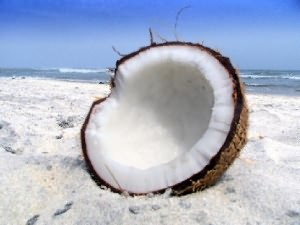 Фотографии кокоса