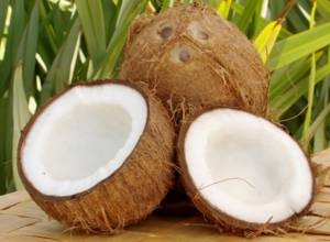 Калорийность и пищевая ценность кокоса