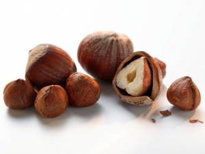 Польза и вред лесного ореха фундука