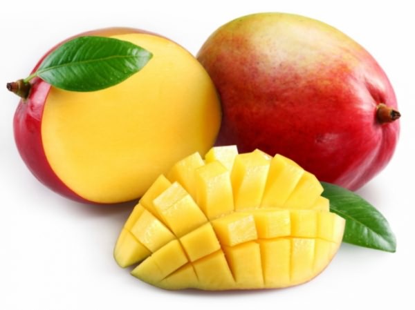 плоды манго польза