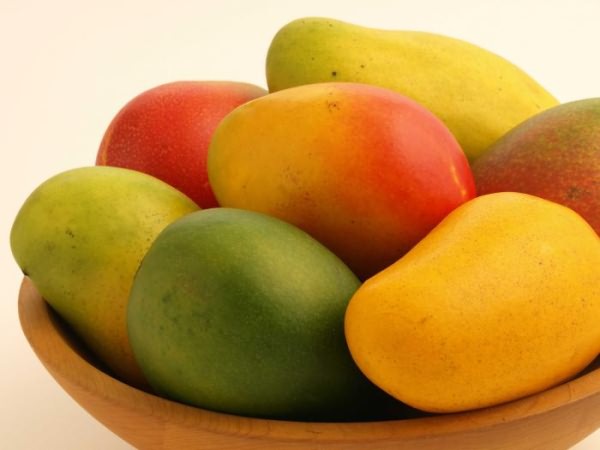 манго описание