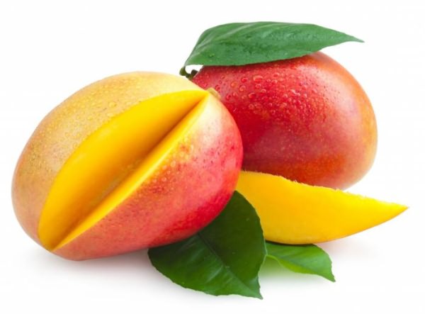 манго описание растения
