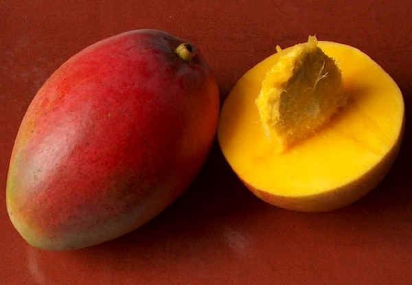 манго фрукт описание