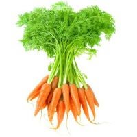 польза моркови для женщин