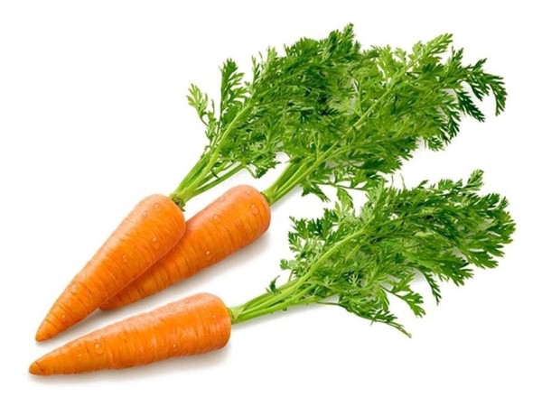Фотографии моркови