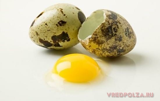 Перепелиные яйца лучше проваривать 3…5 минут. Сырые яйца могут быть поражены опасной разновидностью сальмонеллеза