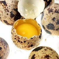 перепелиные яйца польза и вред