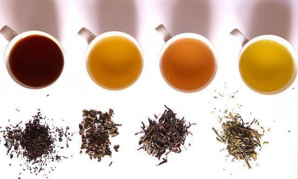 какой чай полезнее черный или зеленый для похудения