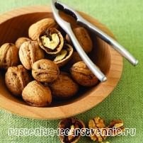 Польза грецких орехов для мужчин и женщин