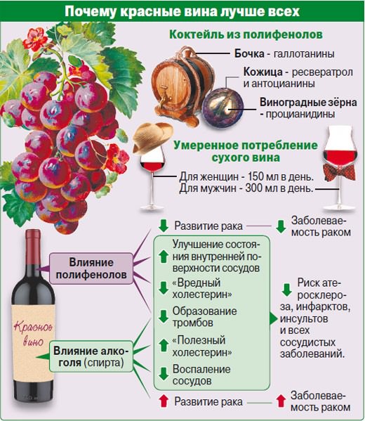 какое вино полезнее белое или красное