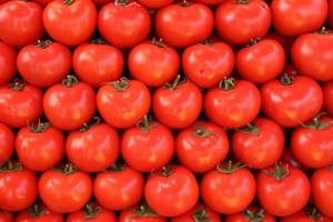 Полезные свойства и противопоказания помидоров для здоровья мужчины и женщины
