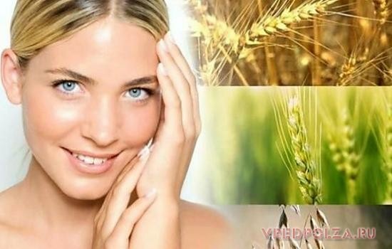 Пророщенная пшеница омолаживает кожу, дарит энергию и благотворно влияет на обменные процессы в организме