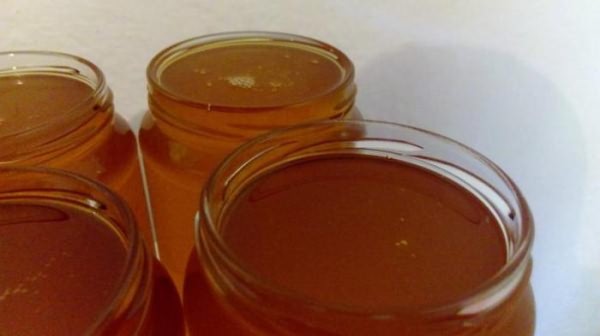 Расторопша, мед, лечебные свойства