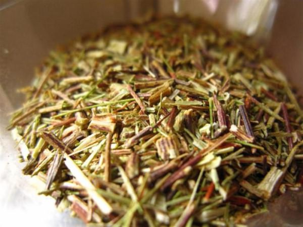 зеленый чай ройбуш