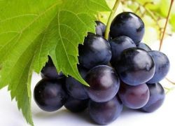 польза черного винограда для женщин