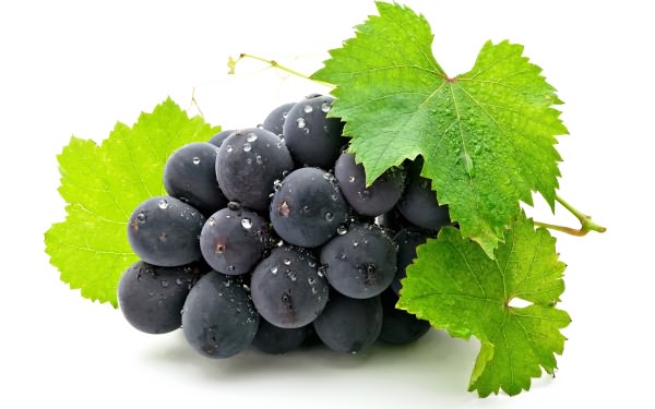 черный виноград польза и вред