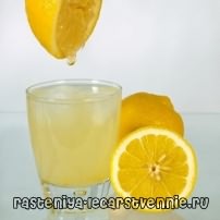 Сок лимона - лечение, свойства :: Натощак - вред или польза? Противопоказания