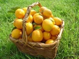 корзинка с полезными лимонами