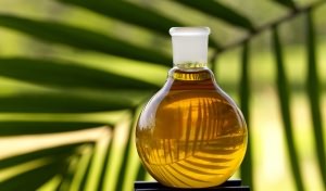 пальмовое масло польза и вред