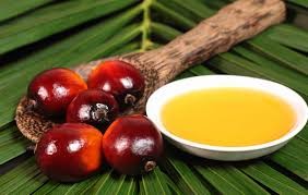 пальмовое масло польза и вред