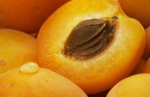 Полезные свойства косточек абрикоса