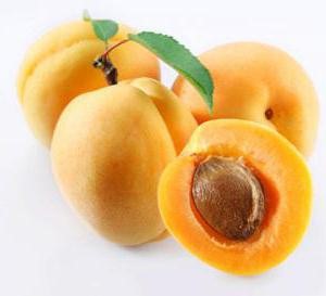 абрикосовые косточки польза и вред для сердца 
