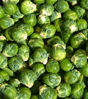 Польза и возможный вред для здоровья брюссельской капусты