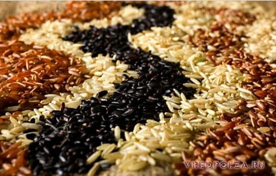 Бурый рис полезнее, чем обычный – он имеет низкий гликемический индекс и употреблять его можно диабетикам