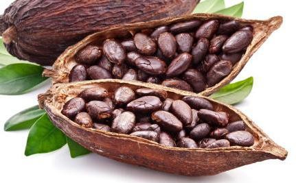 Какао. Полезные свойства и противопоказания