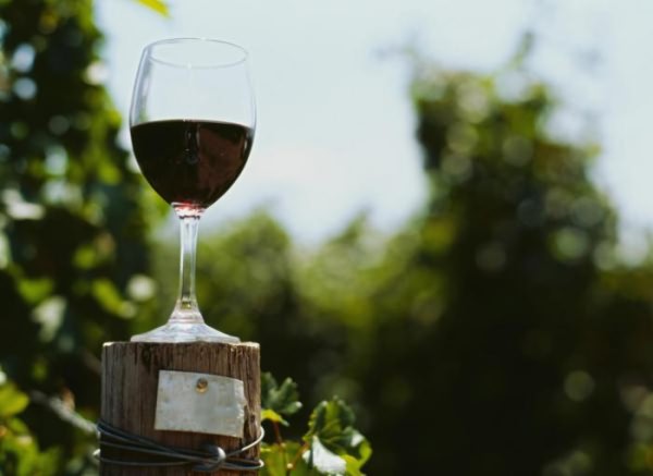 полезно ли красное сухое вино