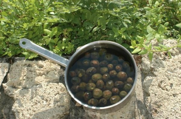 как варить варенье из зелёных грецких орехов