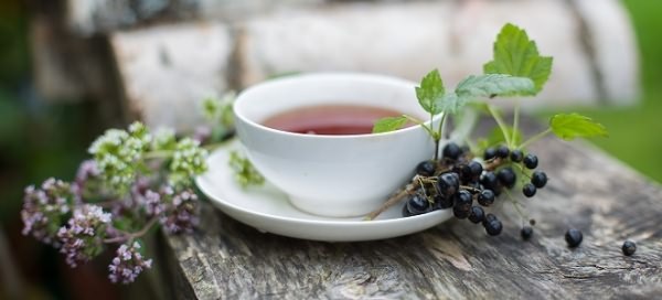 чай из листьев смородины польза и вред