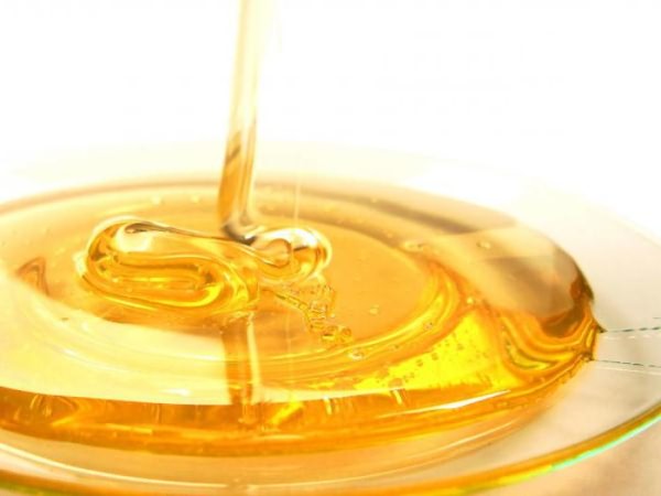 мед донника полезные свойства и противопоказания