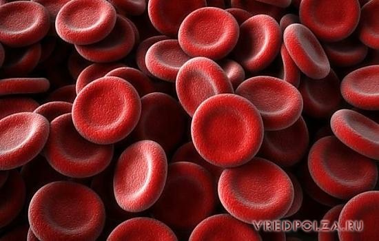 Основное предназначение гематогена - насыщение организма железом, что способствует образованию эритроцитов и стабилизации гемоглобина в крови