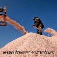 Крымская соль розовая пищевая, польза и вред