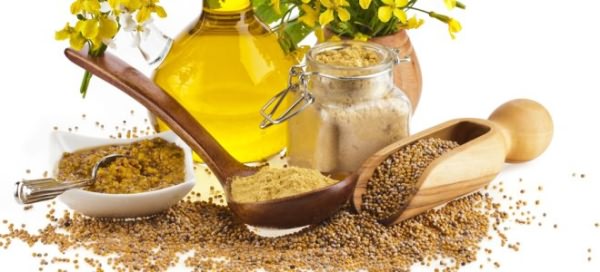 горчичное масло полезные свойства и противопоказания