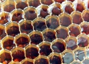 Чем полезен гречишный мед, его калорийность и химический состав
