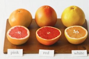 грейпфрут польза и вред