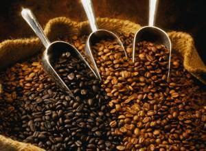 Как выбрать хороший кофе и как его правильно хранить