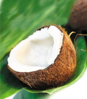 Польза и возможный вред кокоса для организма человека
