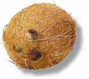 Как правильно вскрыть кокос в домашних условиях