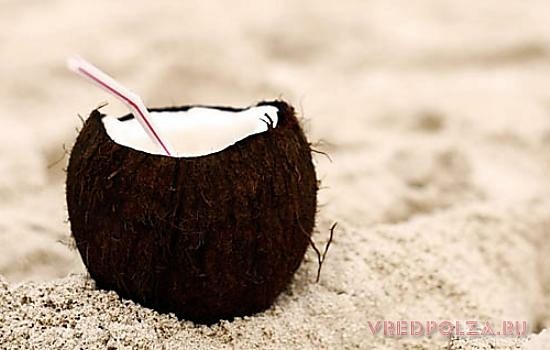 Молоко кокоса – экзотический напиток, в состав которого входит 24 вида аминокислот
